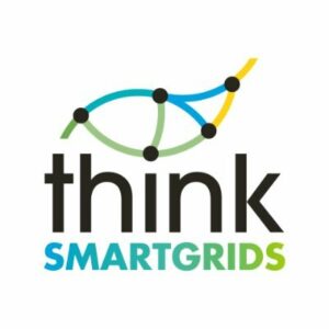 Logo Partenaire Think Smart grids